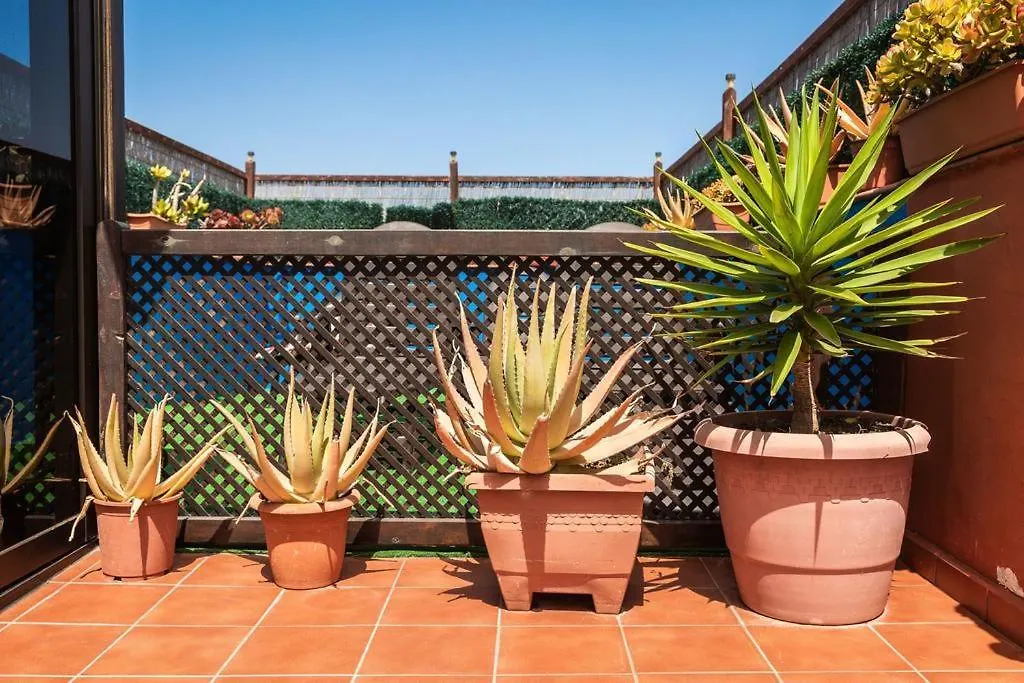 Apartamento casa orymar Cotillo